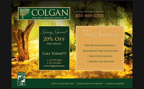 Colgan Tree & Landscaping - Postcard
